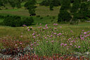 BUITEN BEELD Foto: 448232