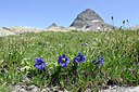 BUITEN BEELD Foto: 448233
