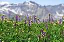 BUITEN BEELD Foto: 448237