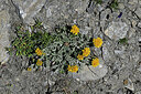 BUITEN BEELD Foto: 448240