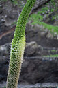 BUITEN BEELD Foto: 448246
