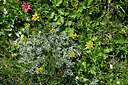 BUITEN BEELD Foto: 448247