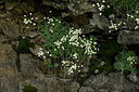 BUITEN BEELD Foto: 448248