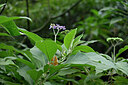 BUITEN BEELD Foto: 448253
