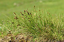 BUITEN BEELD Foto: 448254