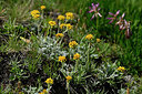 BUITEN BEELD Foto: 448257