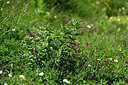 BUITEN BEELD Foto: 448262
