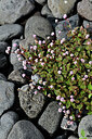 BUITEN BEELD Foto: 448264
