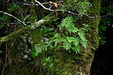 BUITEN BEELD Foto: 448265