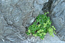 BUITEN BEELD Foto: 448268
