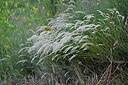 BUITEN BEELD Foto: 448269