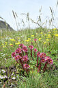 BUITEN BEELD Foto: 448271