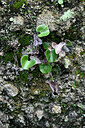 BUITEN BEELD Foto: 448274
