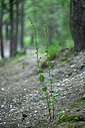 BUITEN BEELD Foto: 448275