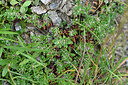BUITEN BEELD Foto: 448277
