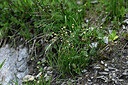 BUITEN BEELD Foto: 448278