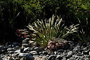 BUITEN BEELD Foto: 448279