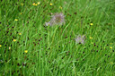 BUITEN BEELD Foto: 448282