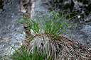 BUITEN BEELD Foto: 448283