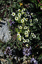 BUITEN BEELD Foto: 448284