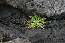 BUITEN BEELD Foto: 448285