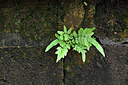 BUITEN BEELD Foto: 448288