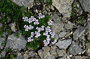 BUITEN BEELD Foto: 448297