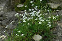 BUITEN BEELD Foto: 448298