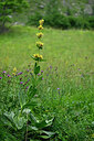 BUITEN BEELD Foto: 448300