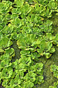 BUITEN BEELD Foto: 448302