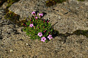 BUITEN BEELD Foto: 448304