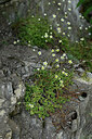BUITEN BEELD Foto: 448305