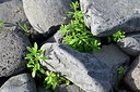 BUITEN BEELD Foto: 448306