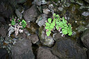 BUITEN BEELD Foto: 448309