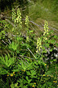 BUITEN BEELD Foto: 448310