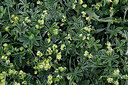BUITEN BEELD Foto: 448312