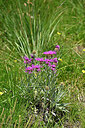 BUITEN BEELD Foto: 448313