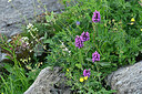 BUITEN BEELD Foto: 448314