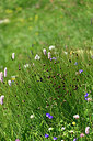 BUITEN BEELD Foto: 448315