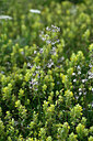 BUITEN BEELD Foto: 448316