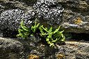 BUITEN BEELD Foto: 448318