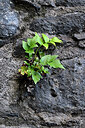 BUITEN BEELD Foto: 448321