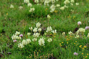 BUITEN BEELD Foto: 448323