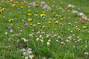 BUITEN BEELD Foto: 448324