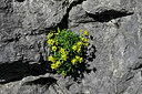 BUITEN BEELD Foto: 448326