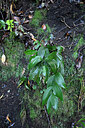 BUITEN BEELD Foto: 448328
