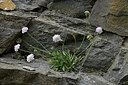 BUITEN BEELD Foto: 448331