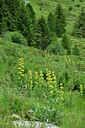 BUITEN BEELD Foto: 448340