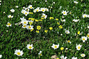 BUITEN BEELD Foto: 448343