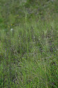 BUITEN BEELD Foto: 448344